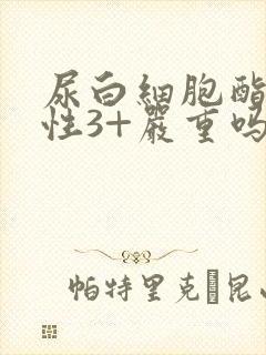 尿白细胞酯酶阳性3+严重吗