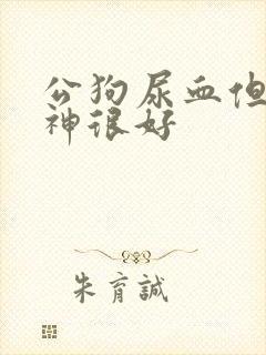 公狗尿血但是精神很好