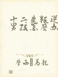 十二岁叛逆期的男孩怎么办