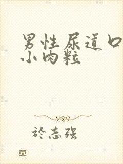 男性尿道口长个小肉粒