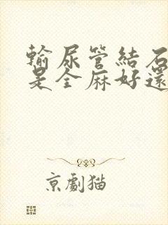 输尿管结石微创是全麻好还是半麻好