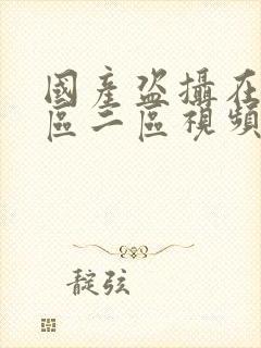 国产盗摄在线一区二区视频