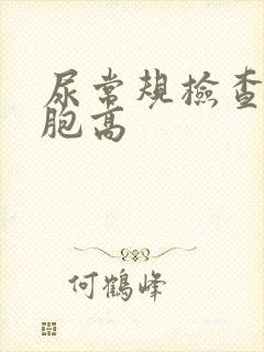 尿常规检查白细胞高