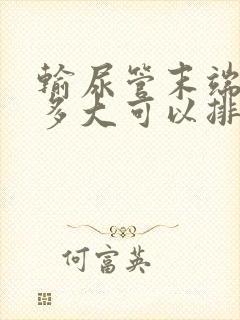 输尿管末端结石多大可以排出