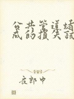 公共管道堵塞造成的损失该谁负责