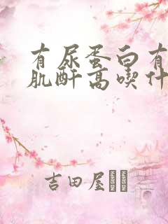 有尿蛋白有那个肌酐高吃什么药