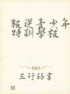 叛逆青少年管教特训学校