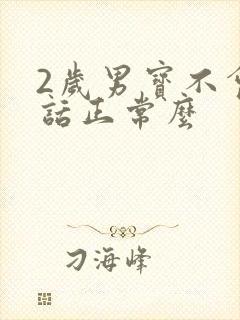 2岁男宝不会说话正常么