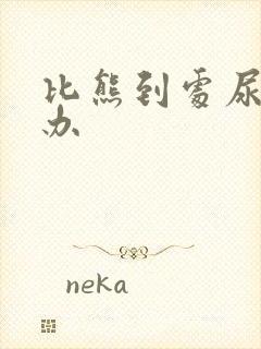 比熊到处尿怎么办