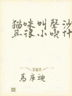 猫咪叫声沙哑而且很小吃什么药