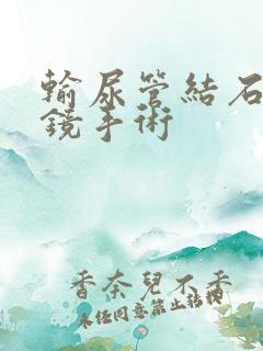 输尿管结石用软镜手术