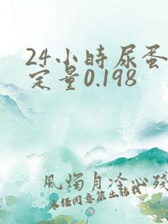 24小时尿蛋白定量0.198