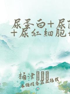 尿蛋白+尿隐血+尿红细胞增多