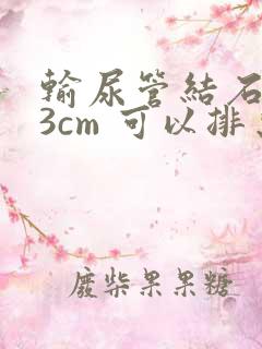 输尿管结石0.3cm 可以排出吗