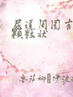 尿道周围有白色颗粒状