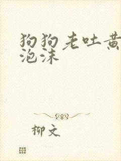狗狗老吐黄水带泡沫