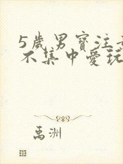 5岁男宝注意力不集中爱玩怎么办