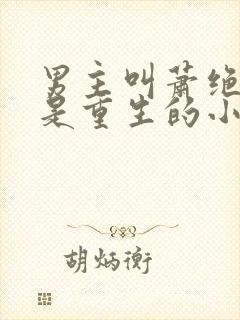 男主叫萧绝女主是重生的小说