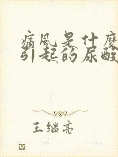 痛风是什么原因引起的尿酸高