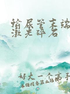 输尿管末端结石激光碎石