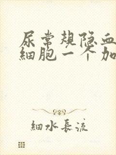 尿常规隐血和白细胞一个加号