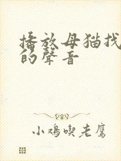 播放母猫找小猫的声音