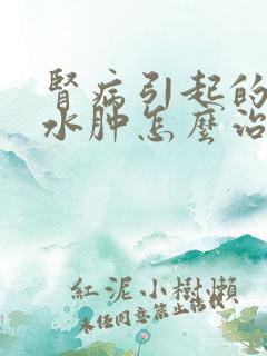 肾病引起的下肢水肿怎么治疗