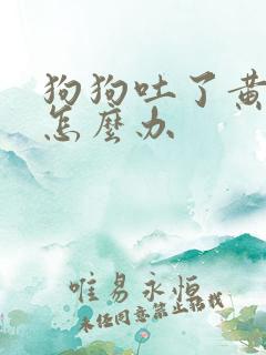 狗狗吐了黄液体怎么办