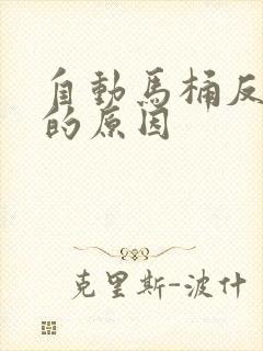 自动马桶反臭味的原因