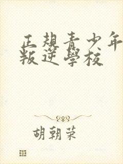 正规青少年特训叛逆学校