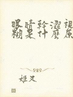 眼睛干涩视力模糊是什么原因引起的