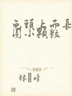 龟头上面长了一圈小颗粒