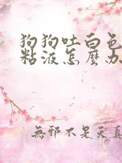 狗狗吐白色泡沫粘液怎么办