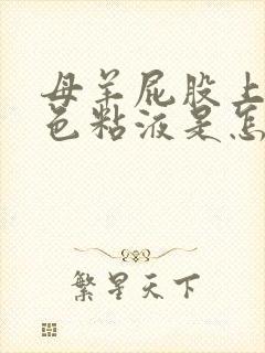 母羊屁股上有白色粘液是怎么回事