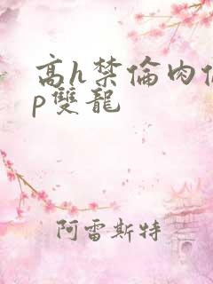 高h禁伦肉伦np双龙