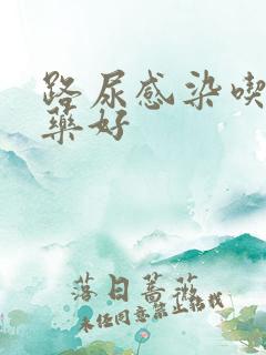 路尿感染吃什么药好