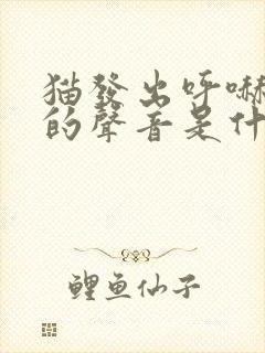 猫发出呼哧呼哧的声音是什么原因