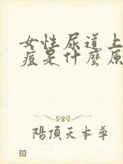 女性尿道上长痘痘是什么原因