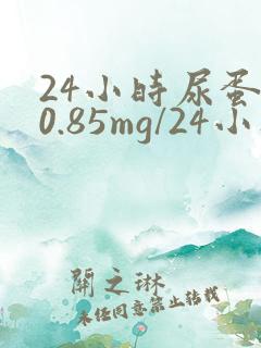24小时尿蛋白0.85mg/24小时
