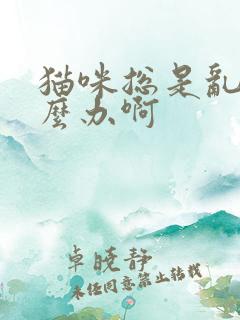 猫咪总是乱尿怎么办啊