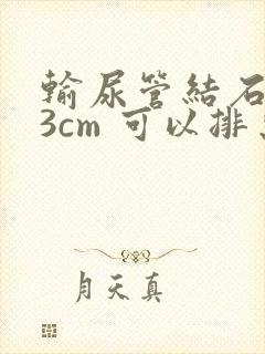 输尿管结石0.3cm 可以排出吗