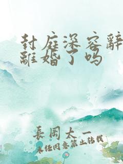 封庭深容辞最后离婚了吗