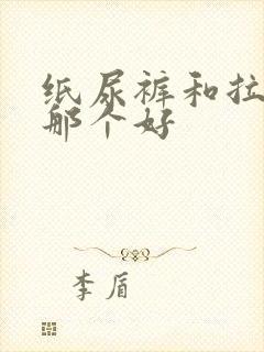 纸尿裤和拉拉裤那个好