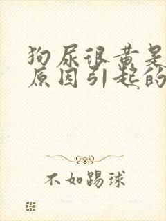 狗尿很黄是什么原因引起的