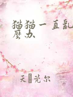 猫猫一直乱尿怎么办