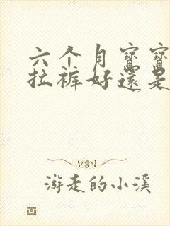 六个月宝宝穿拉拉裤好还是纸尿裤好