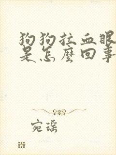 狗狗拉血眼睛红是怎么回事