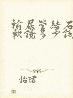 输尿管结石手术软镜多少钱