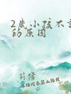 2岁小孩不说话的原因