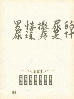 男性撒尿的时候尿道疼是什么原因